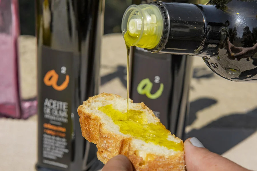 Aceite de Oliva Bajo Aragón